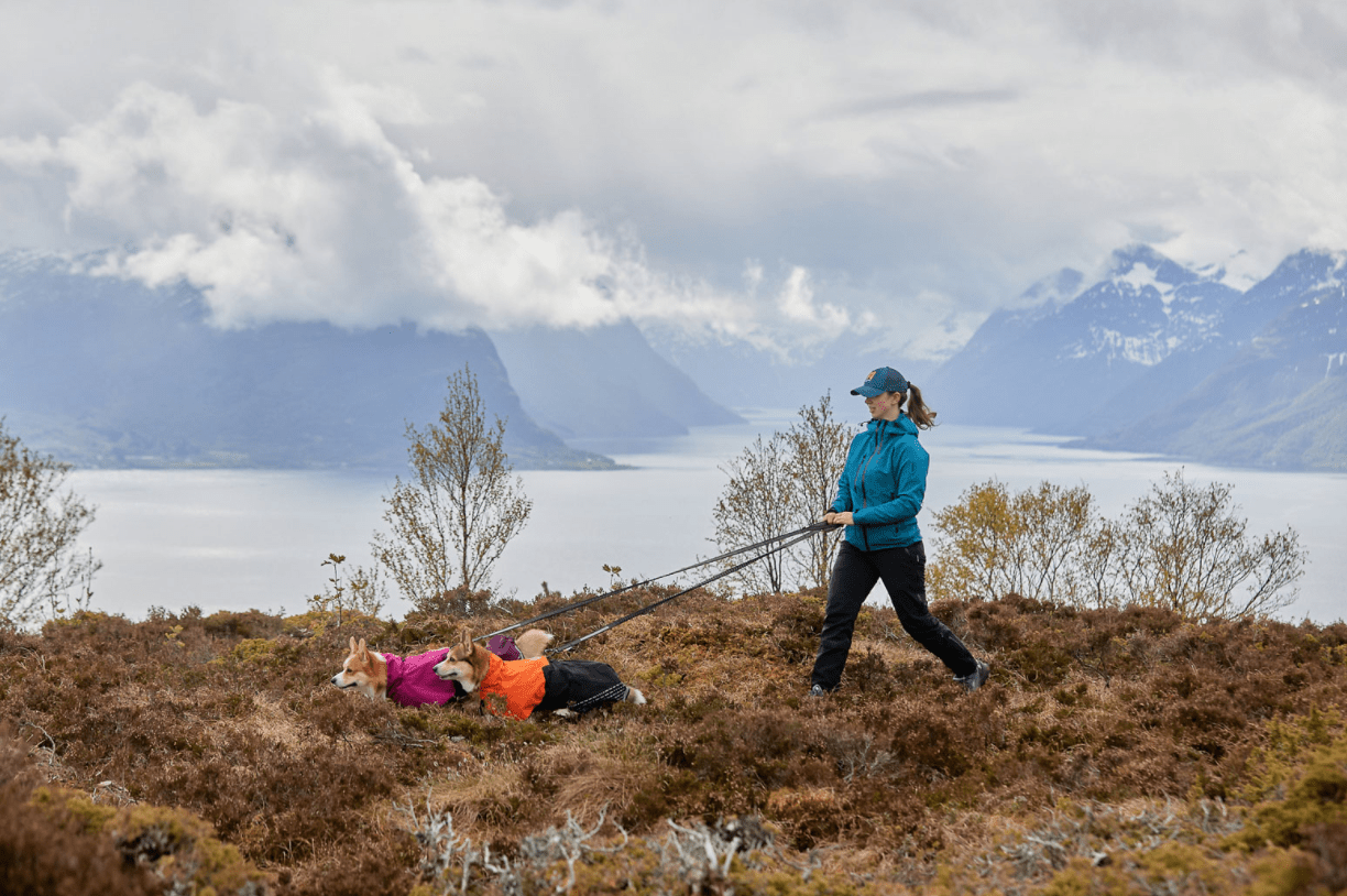 Fjord Raincoat (Non - Stop Dogwear) - SnowPaw Store - Non - Stop Dogwear - Dog Coats